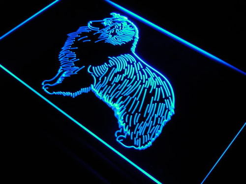 Blue Merle Dog Pet Shop Neon Light Sign